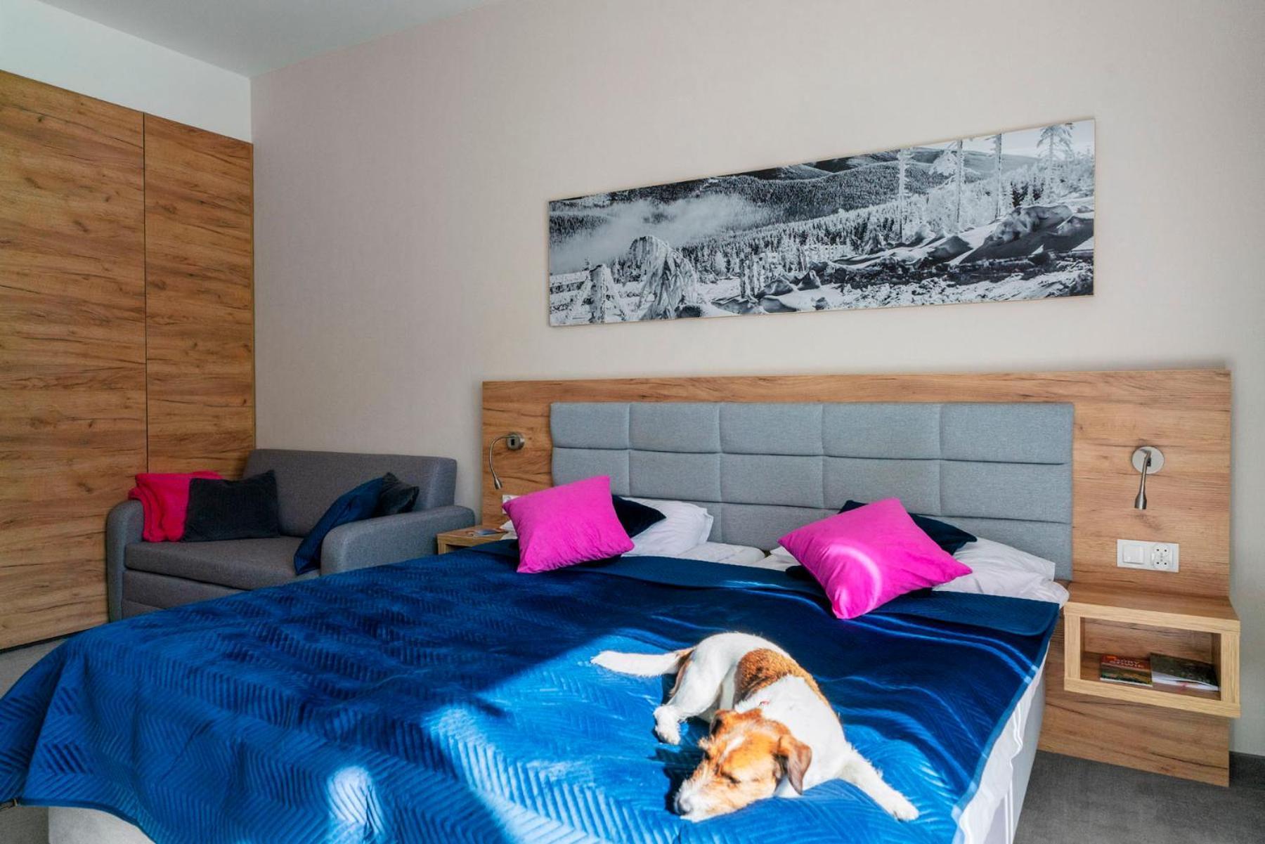 Apartament Folgaria - Aparthotel Panorama Czarna Gora Sienna  Eksteriør bilde